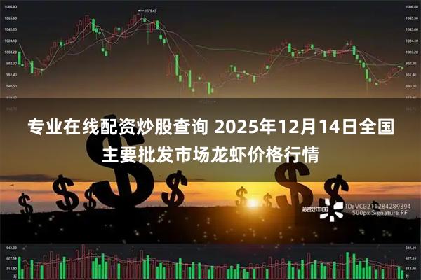专业在线配资炒股查询 2025年12月14日全国主要批发市场龙虾价格行情